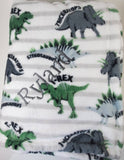 personalized dinosaur throw blanket, monogrammed throw blanket for boys, green and grey dinosaur blanket, birthday gift, Valentine gift