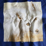 arctic fox fabric panel, arctic foxes designed for Exclusively Quilters, quality quilters cotton fabric, wildlife fabric