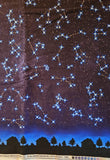 constellation night sky fabric, Timeless Treasures fabrics of Soho, quality quilters cotton fabric, fun and educational space fabric