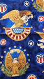 Americana fabric with eagles and other American symbols with a 4 1/2 inch red star border added, 250th anniversary quilt of valor