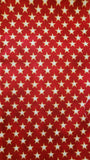 Americana fabric with eagles and other American symbols with a 4 1/2 inch red star border added, 250th anniversary quilt of valor