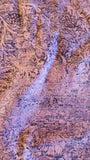 purple floral scroll quilters cotton fabric by the yard, Hermitage by Jinny Beyer 2009 RJR fabrics, backing or binding fabric