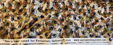 camouflage with black paw prints quilters cotton fabric by the yard, Paws for Valor designed for Exclusively Quilters, valor quilt