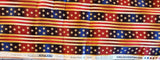 Americana quilters cotton fabric by the yard, Susan Stamiljo Robert Kaufman People's House Screen Print D# 12041, quilt of valor material
