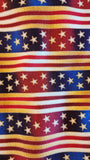 Americana quilters cotton fabric by the yard, Susan Stamiljo Robert Kaufman People's House Screen Print D# 12041, quilt of valor material