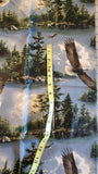 Eagle quilters cotton fabric by the yard, James Hautman Courtesy of MHS licensing for VIP by Cranston, wildlife fabric