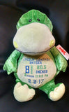 Custom embroidered birth statistics stuffed dinosaur plush animal personalized gift