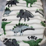 personalized dinosaur throw blanket, monogrammed throw blanket for boys, green and grey dinosaur blanket, birthday or Valentine's day gift