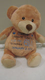 Custom bear personalized embroidered ring bearer stuffed plush animal birth statistics baby gift adoption