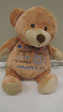 Custom personalized embroidered birth statistics stuffed plush animal